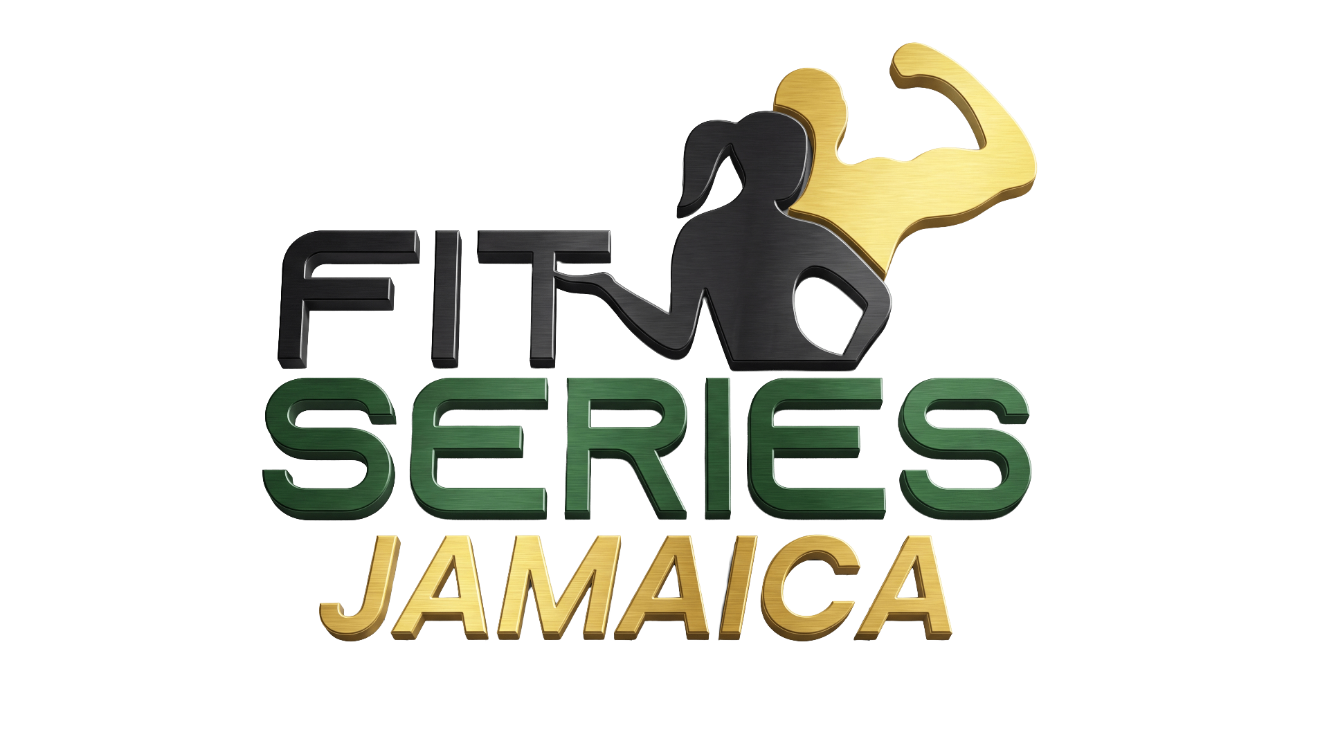 Fit Series logo